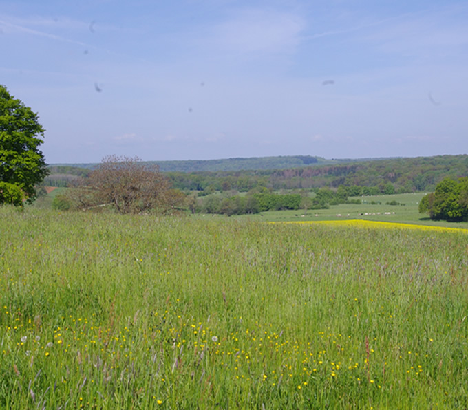 vue campagne au printemps